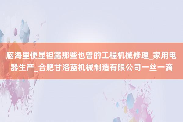 脑海里便显袒露那些也曾的工程机械修理_家用电器生产_合肥甘洛蓝机械制造有限公司一丝一滴