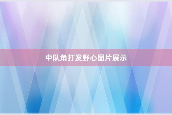 中队角打发野心图片展示