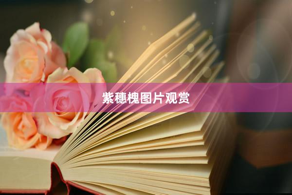 紫穗槐图片观赏