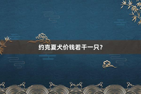 约克夏犬价钱若干一只？