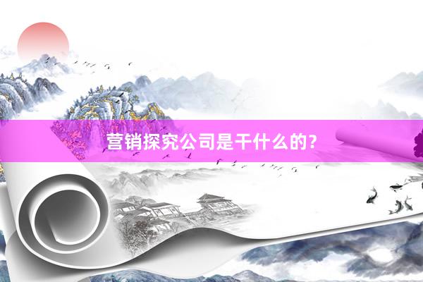 营销探究公司是干什么的？
